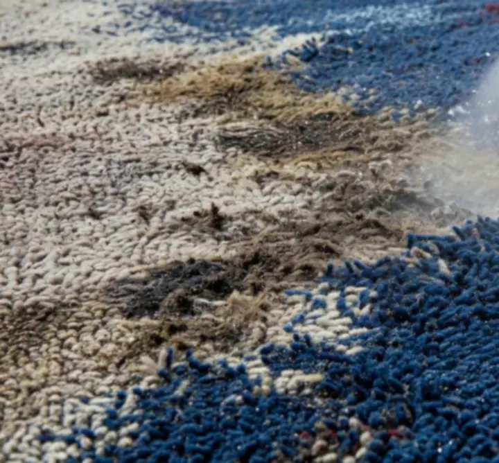Closeup of carpet fibres after a professional deep cleaning
